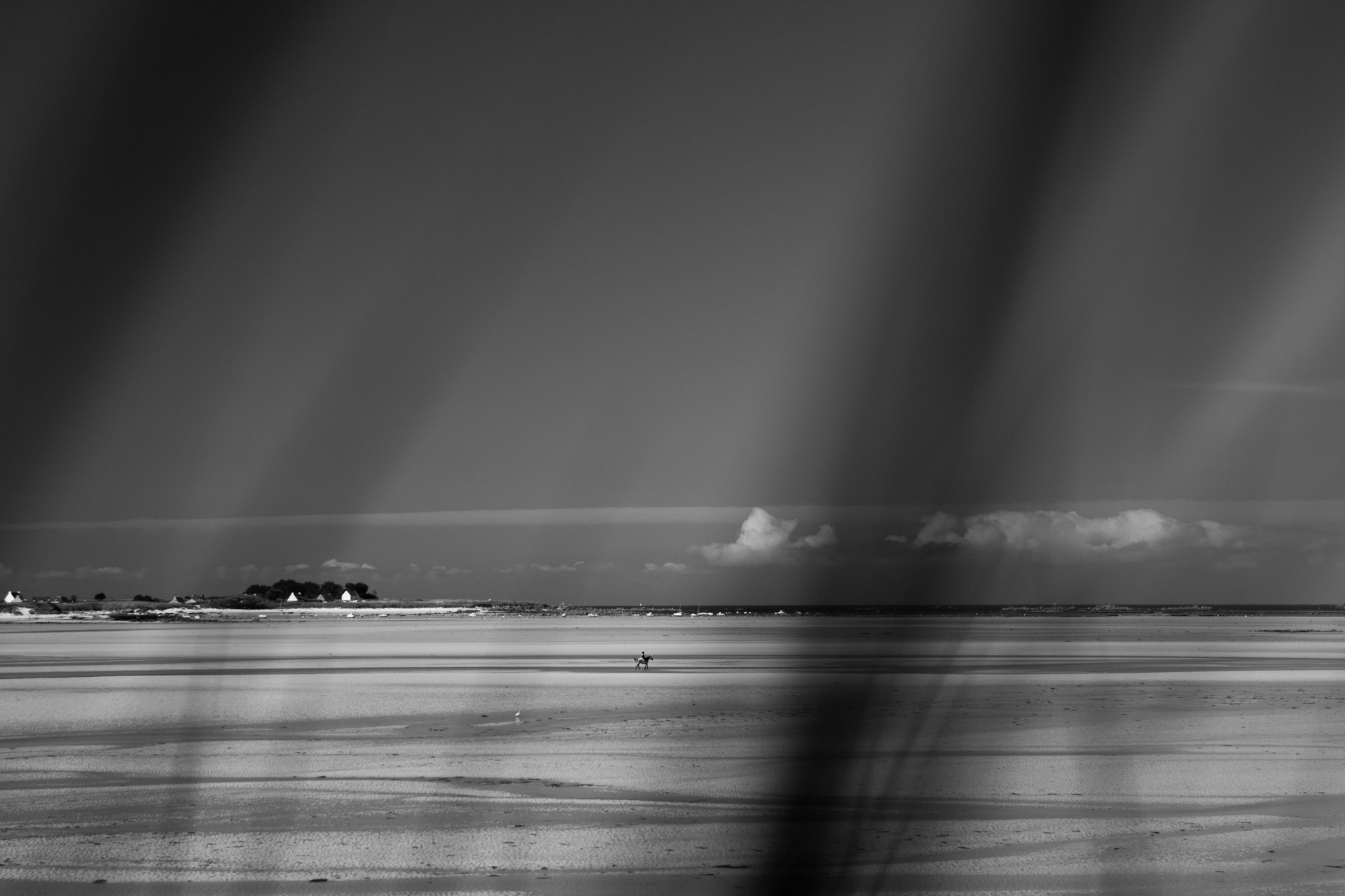 L' Oeil Noir Photographie